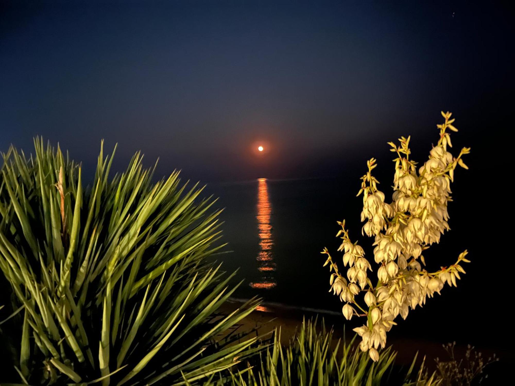 Sun Wave Sveti Vlas